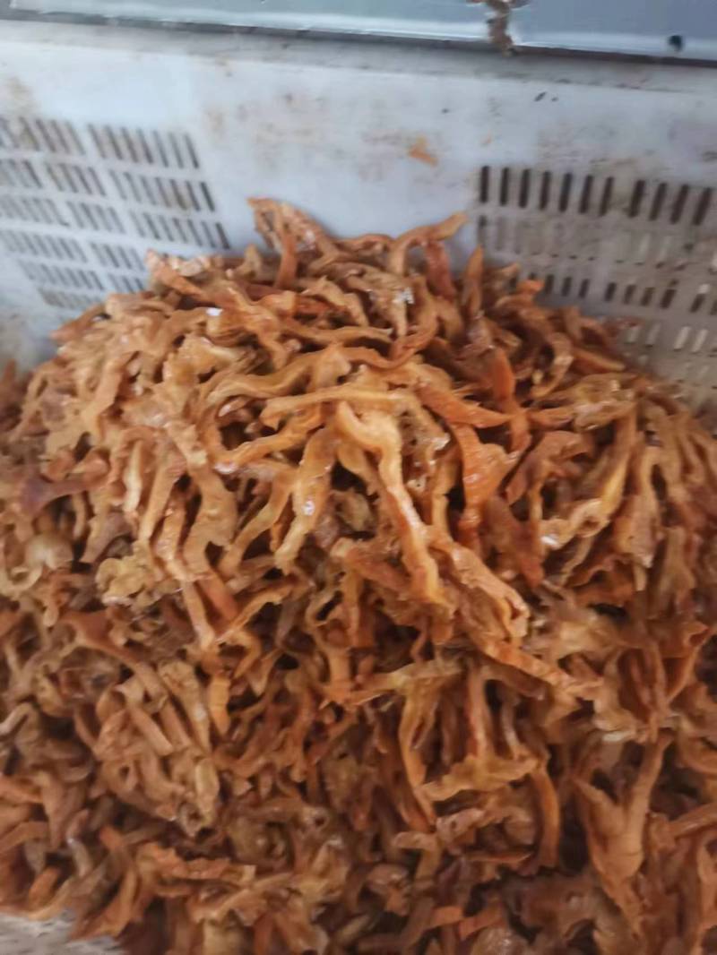 产地榆耳，酒店特色食材榆耳菌榆耳菇好榆耳优质榆耳自产自销