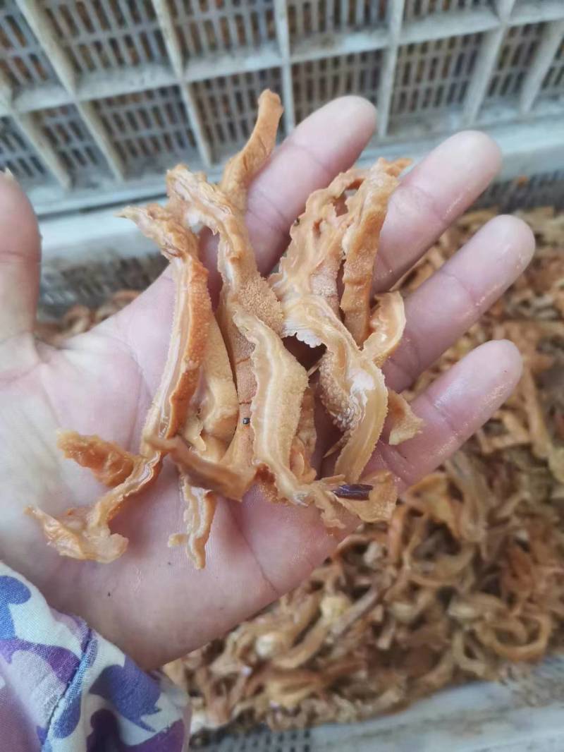 产地榆耳，酒店特色食材榆耳菌榆耳菇好榆耳优质榆耳自产自销