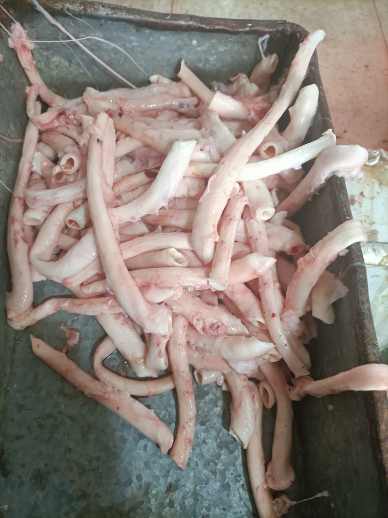 内蒙古锡林郭勒草原羊心管，新鲜羔羊心管，去油干净，实图。