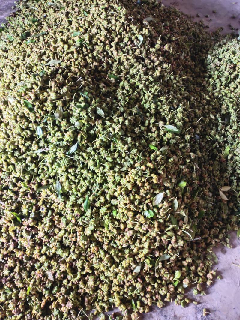 价格待定！生八角接电商批发商代晒代加工一条龙