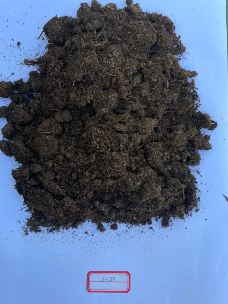 欧洲工厂直销/进口优质育苗泥炭土/育苗基质蓝莓
