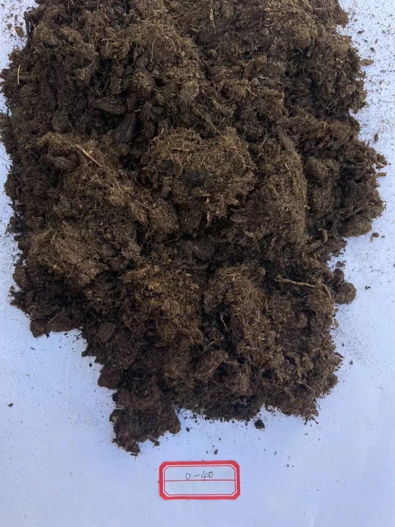 欧洲工厂直销/进口优质育苗泥炭土/育苗基质蓝莓