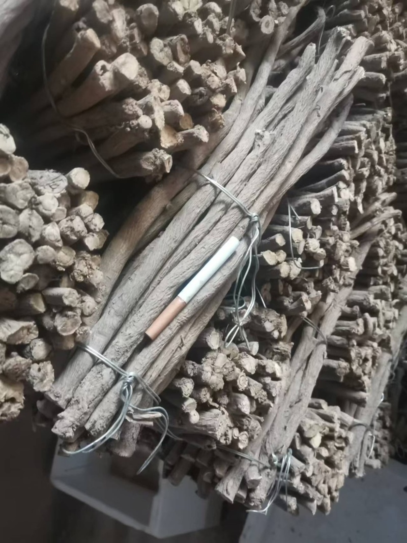 精品黄芪条甘肃张掖黄芪条，产地货源，量大产地直发