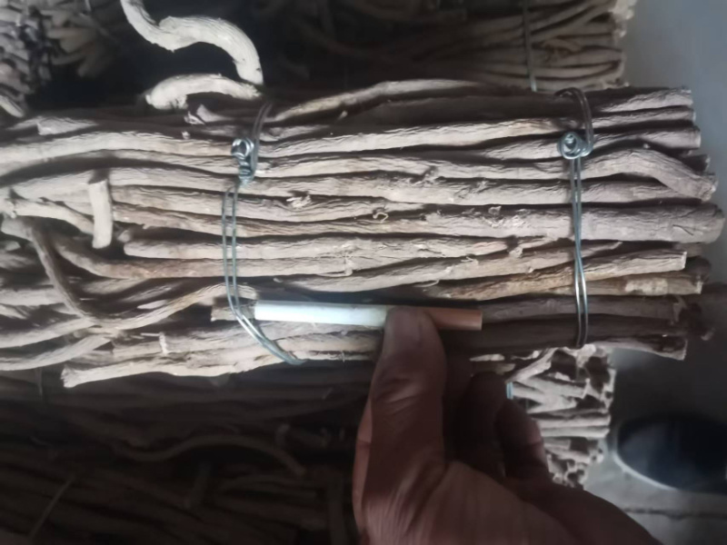 精品黄芪条甘肃张掖黄芪条，产地货源，量大产地直发