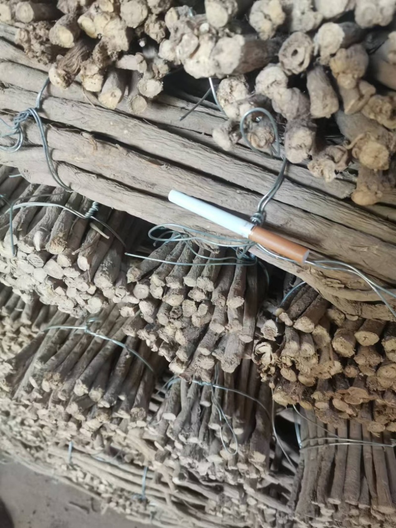 精品黄芪条甘肃张掖黄芪条，产地货源，量大产地直发