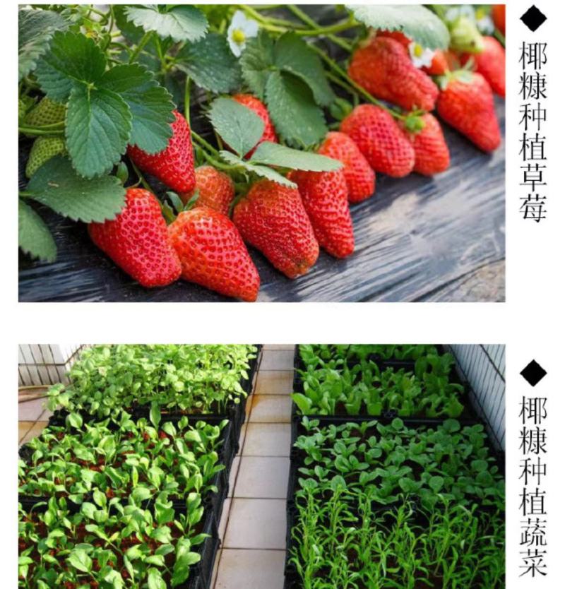 【蓝莓种植】专用椰粒/椰糠/椰砖育苗基质/大量有货