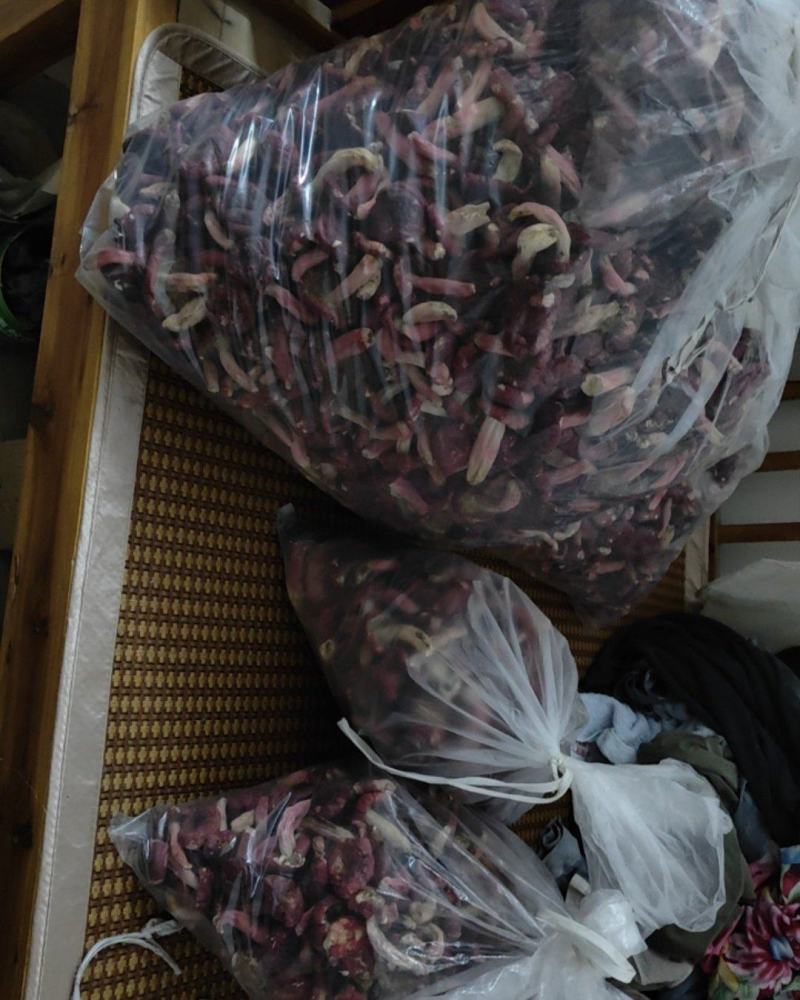 干红菇广西红菇货源充足，品质如图诚信经营欢迎咨询