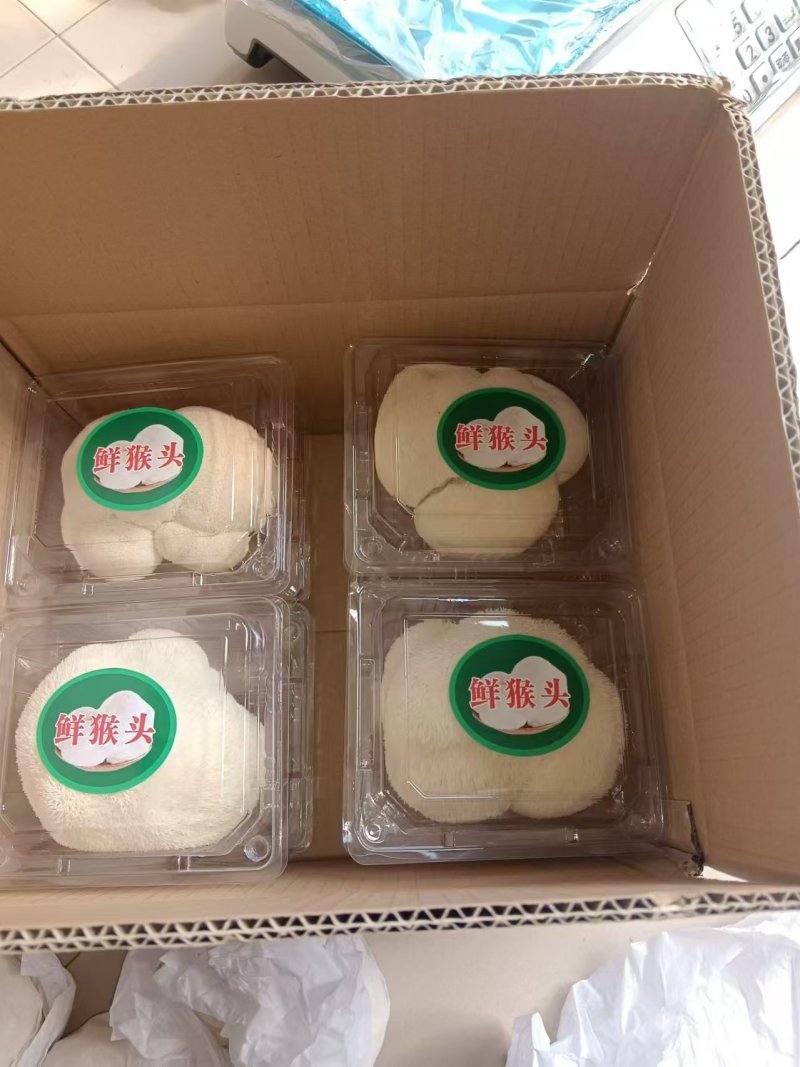 山东产地猴头菇大量供应质量保证规格齐全量大优惠