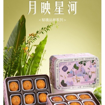 1J-全国包邮嘉禾月网红款月映星河月饼960g