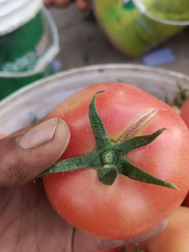 大量有货
