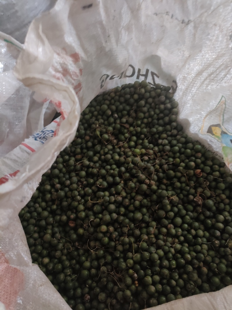 黄精果实种子
