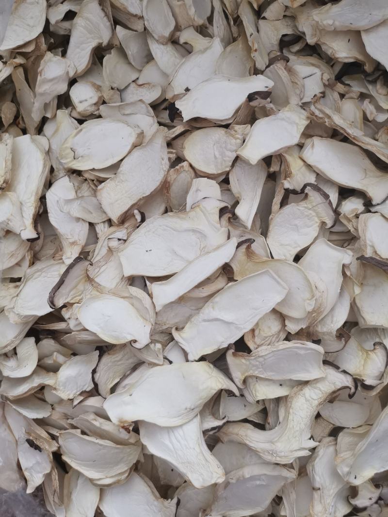 供应酒店食材瓶栽杏鲍菇中片干品