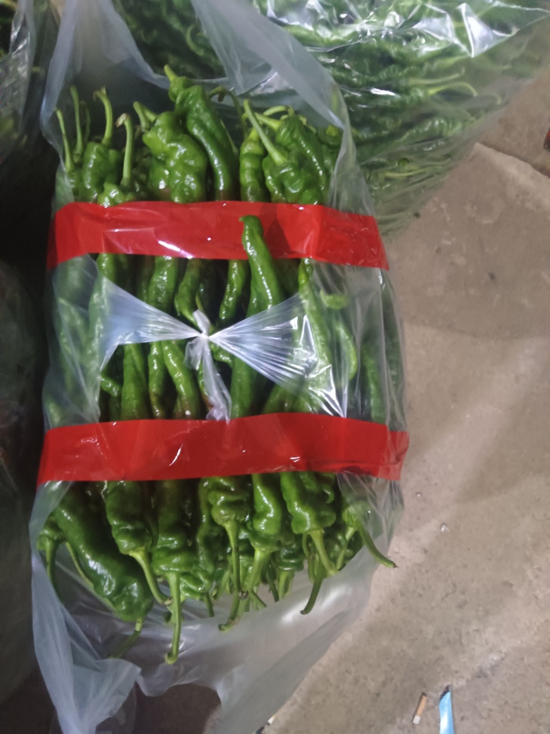 云南大理小米椒，各类代办，批发！