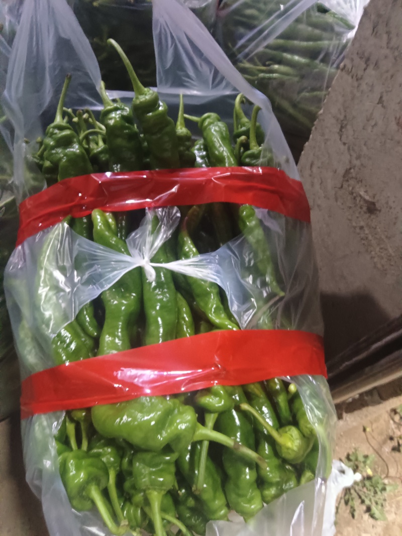 云南大理小米椒，各类代办，批发！