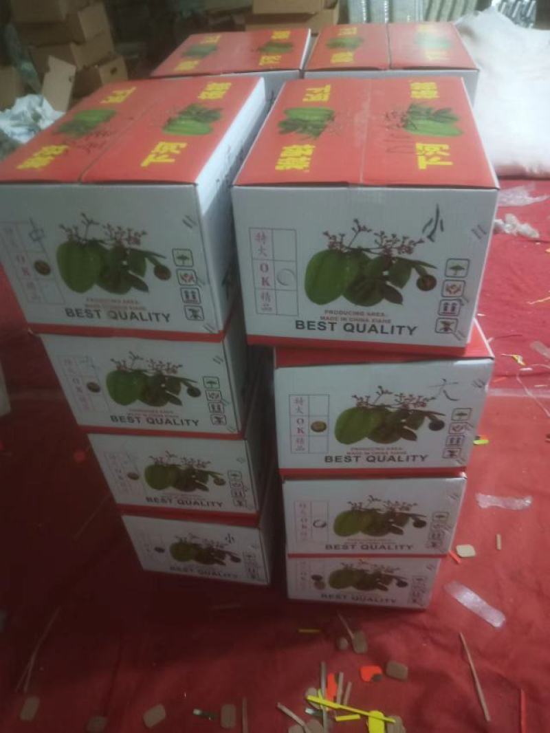 下河甜杨桃