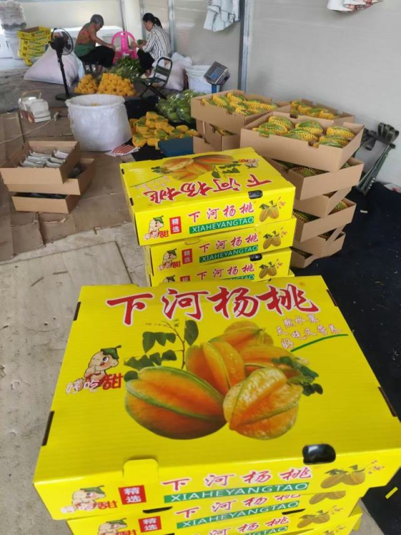 下河甜杨桃
