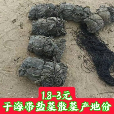 干海带海带干海带海带一棵菜海带皮海带养殖加工场直接供货