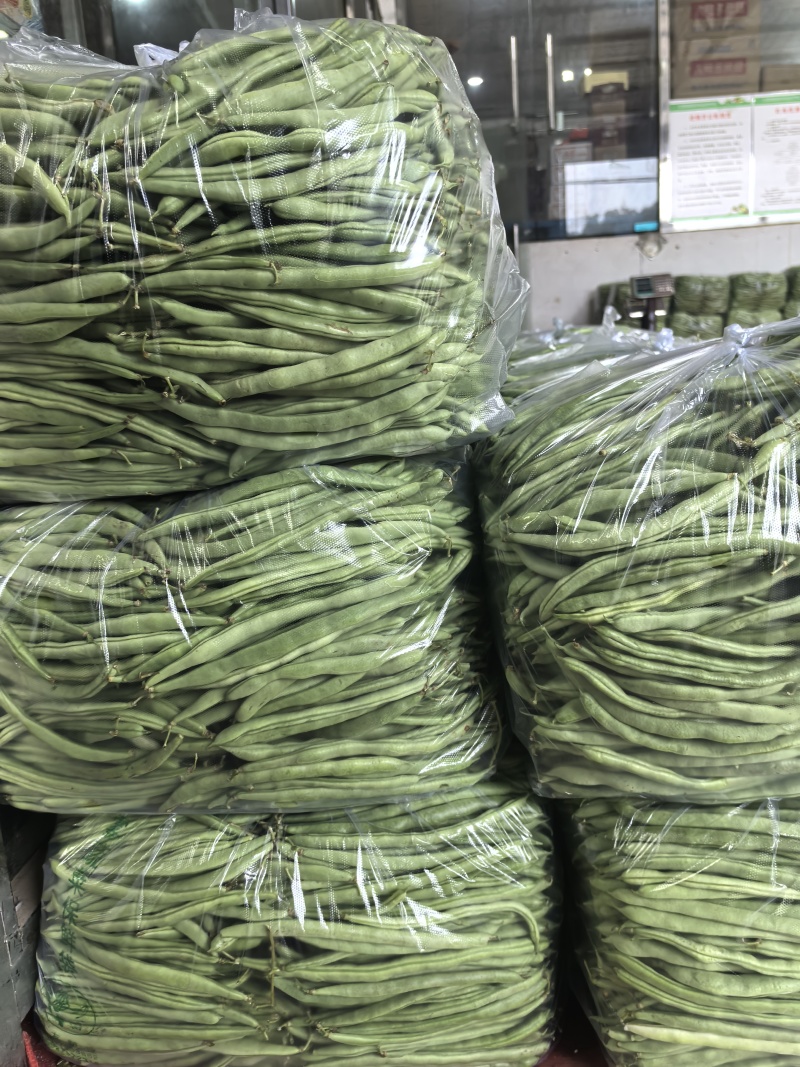 白花四季豆高山四季豆现采现装大量上市保质保量