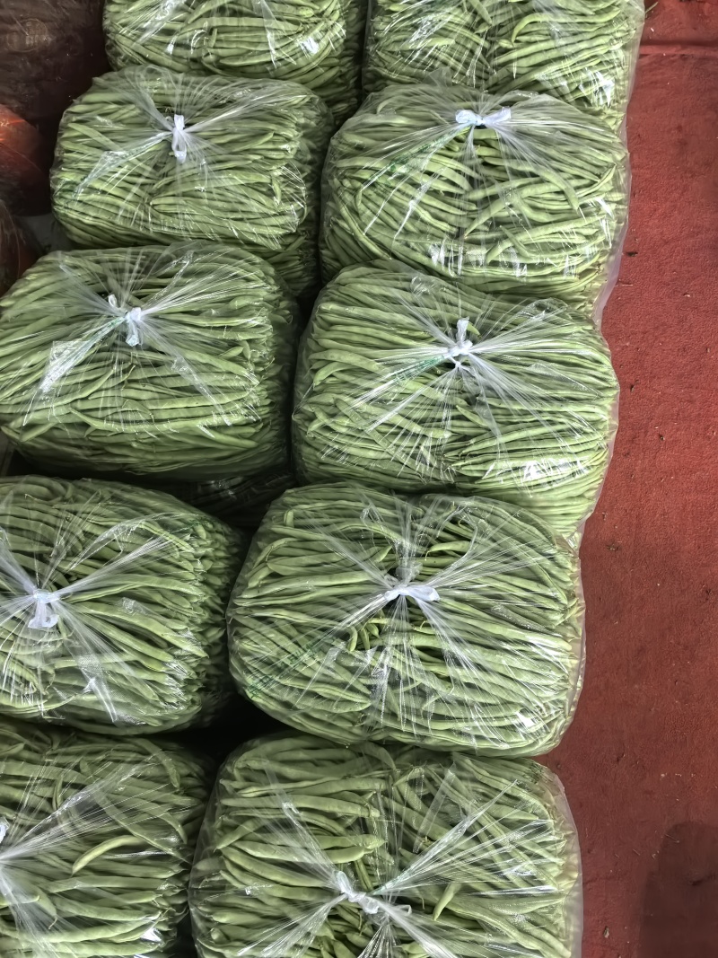 白花四季豆高山四季豆现采现装大量上市保质保量