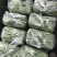 白花四季豆高山四季豆现采现装大量上市保质保量