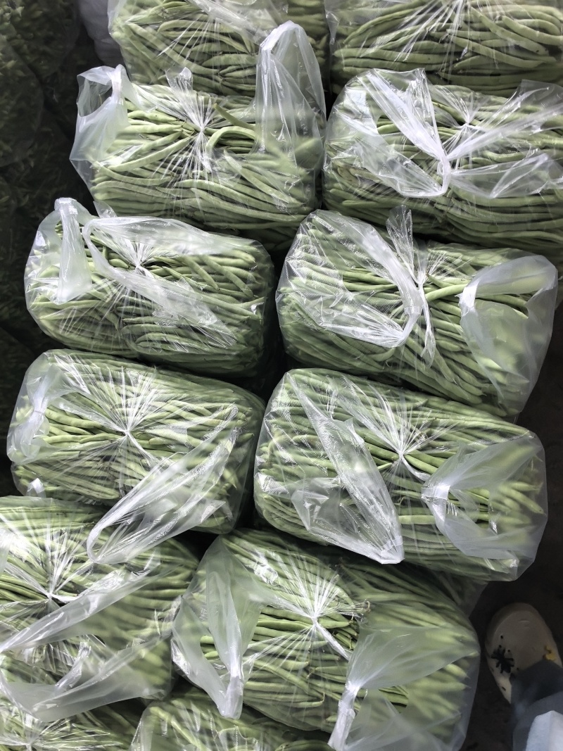 白花四季豆高山四季豆现采现装大量上市保质保量