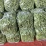 白花四季豆高山四季豆现采现装大量上市保质保量