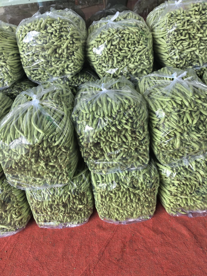白花四季豆高山四季豆现采现装大量上市保质保量
