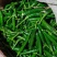 陕西洛南新苗青小米椒精品大果型墨绿色种植基地直供一手货源