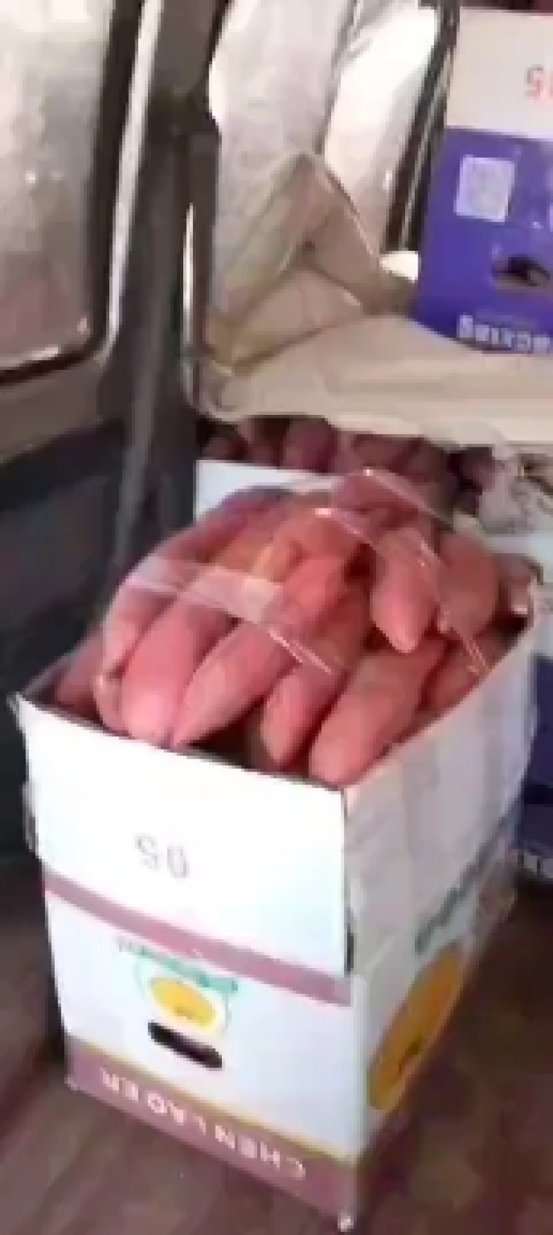 河北沙地西瓜红，产地直发欢迎大家光临，有质量问题免费补发