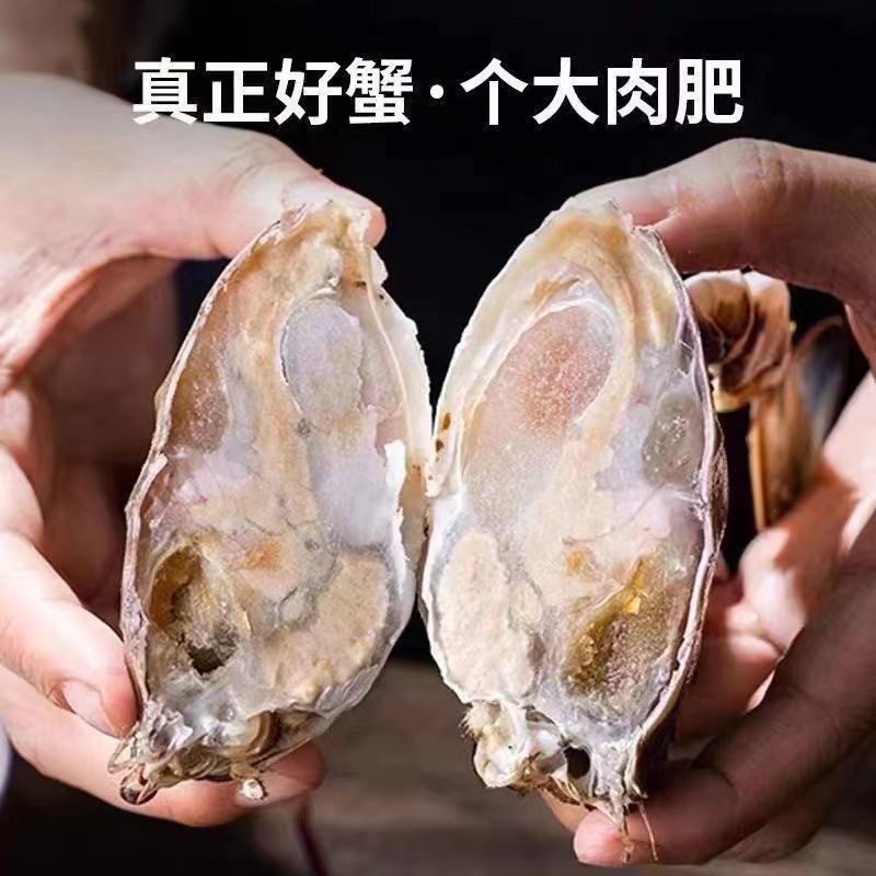 带箱梭子蟹鲜活新鲜超大特大速冻螃蟹公母蟹海鲜