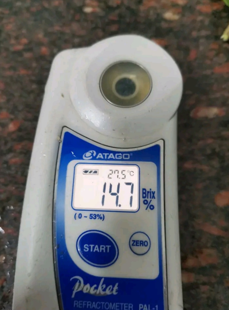 宜昌琯溪蜜柚红心柚白心柚电商批发商超出口一手货源诚