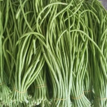 高山长豆角