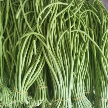 高山长豆角