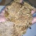 棉籽饼肥料适用于果蔬蔬菜大棚蘑菇