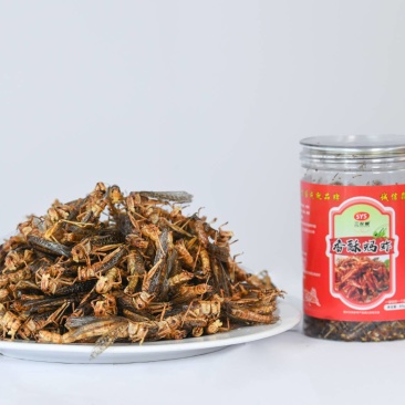 香酥蚂蚱，一罐蚂蚱一盘菜，五香，孜然，藤椒，香辣，麻辣