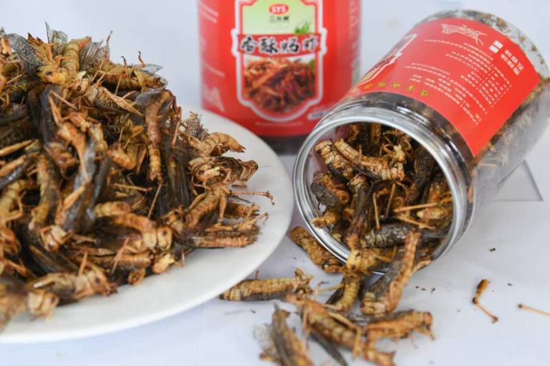 香酥蚂蚱，一罐蚂蚱一盘菜，五香，孜然，藤椒，香辣，麻辣