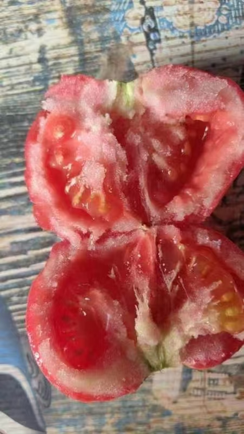 西红柿硬粉西红柿水果西红柿好吃不贵