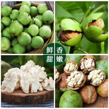 云南古树新鲜核桃大量上市欢迎采购