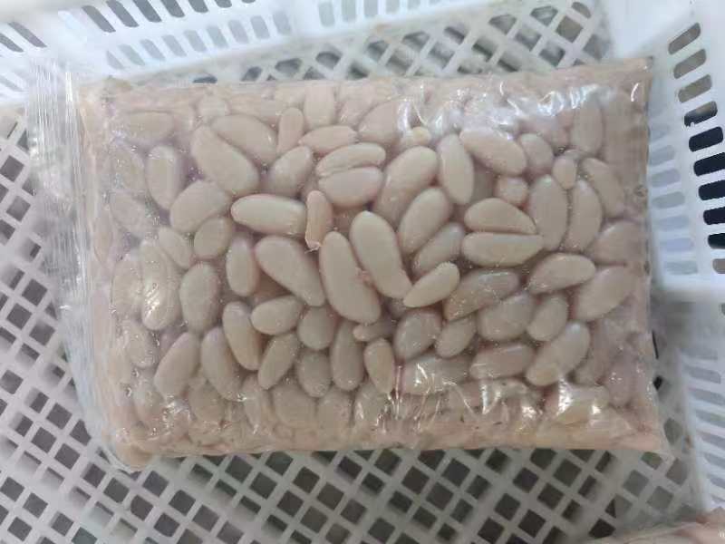 花腰子小腰中药大腰长期有货