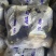 山东圆茄紫光圆茄大量现货，大棚圆茄质量优价格合适代收代发