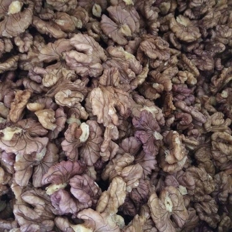 云南紫皮核桃大量上市基地一手货源欢迎采购