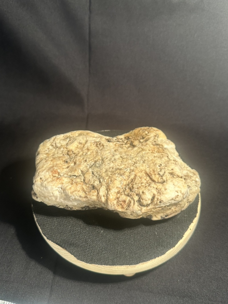 **琥珀色龙涎香，龙腹香，灰琥珀，Ambergris
