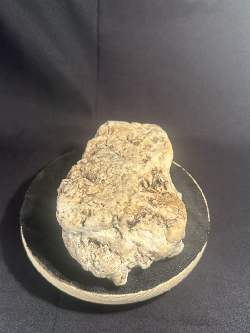 **琥珀色龙涎香，龙腹香，灰琥珀，Ambergris