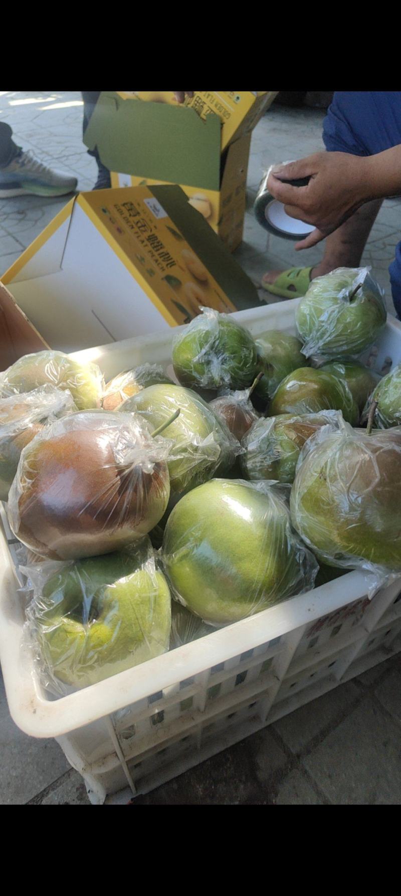 玉露香梨