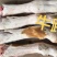 乳牛毛蹄