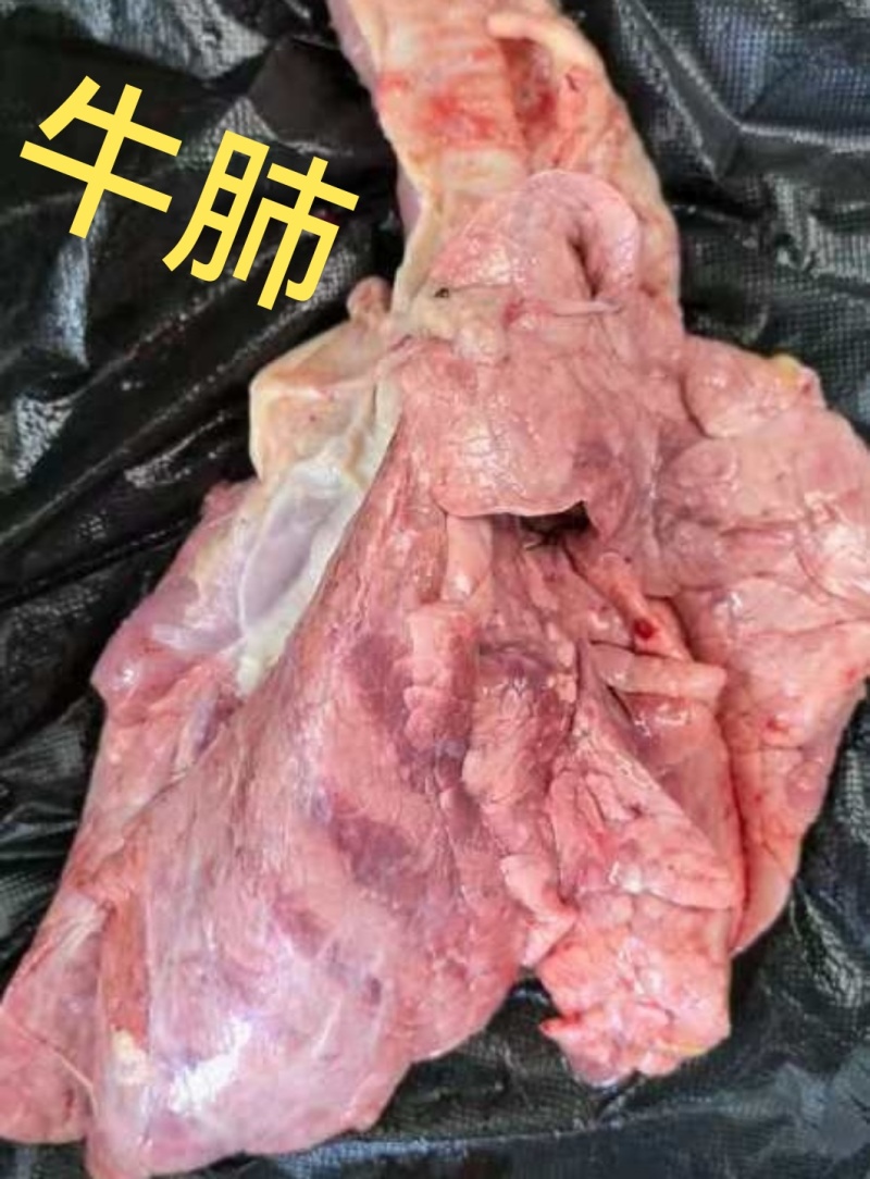 牛心