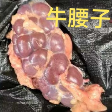 牛腰子