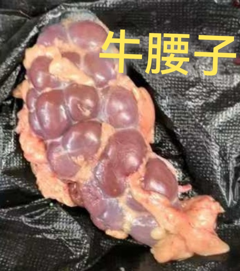 牛腰子