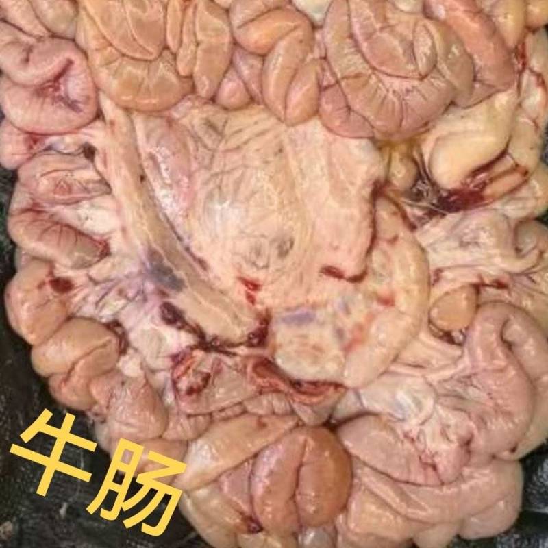 牛肠
