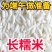 长粒糯粘糯米粽子专用糯米包邮